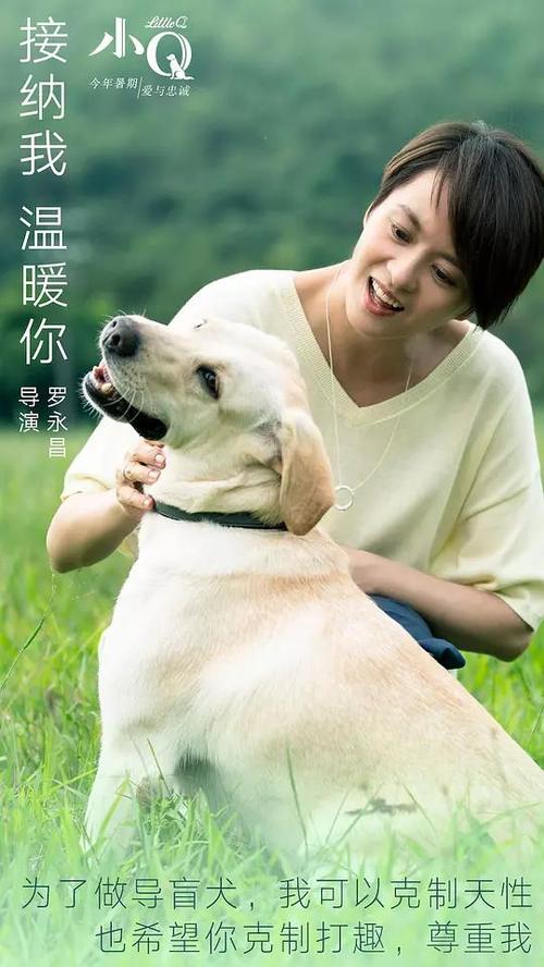 伪造日本大阪府立大学文凭毕业证